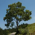 Gospodarstwo agroturystyczne Jausenstation Neuschwand