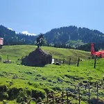 Gospodarstwo agroturystyczne Jausenstation Neuschwand *