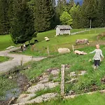 Jausenstation Neuschwand Gospodarstwo agroturystyczne Hittisau
