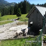 Jausenstation Neuschwand *