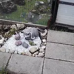 Jausenstation Neuschwand Gospodarstwo agroturystyczne Hittisau