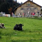 Lantgård Jausenstation Neuschwand Hittisau