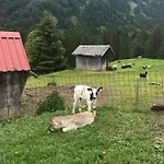 팜스테이 Jausenstation Neuschwand 히티사우