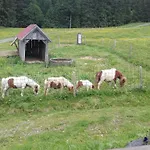 Jausenstation Neuschwand
