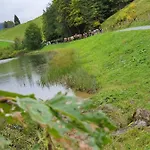 Jausenstation Neuschwand * Hittisau