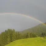 Jausenstation Neuschwand Bauernhof Hittisau