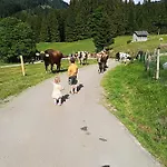 Jausenstation Neuschwand Bauernhof Hittisau