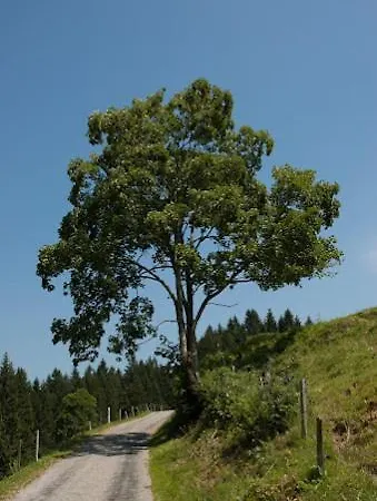 Çiftlik konaklama Jausenstation Neuschwand
