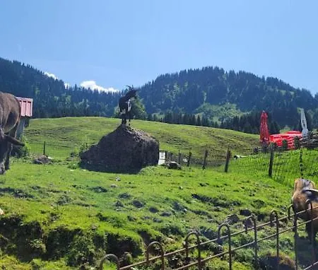 Çiftlik konaklama Jausenstation Neuschwand *