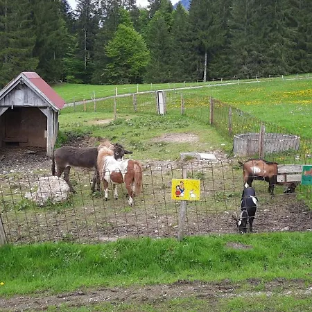 Farm stay Jausenstation Neuschwand