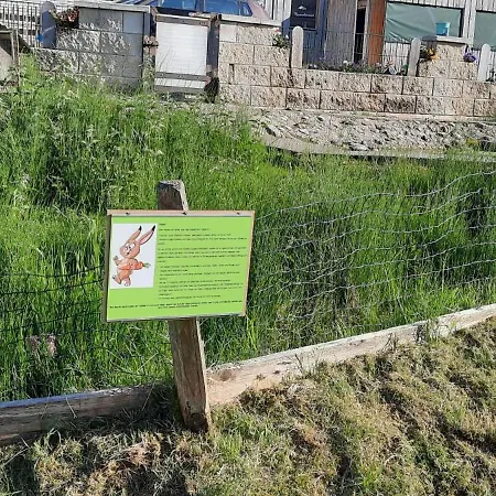 Jausenstation Neuschwand Farm stay *