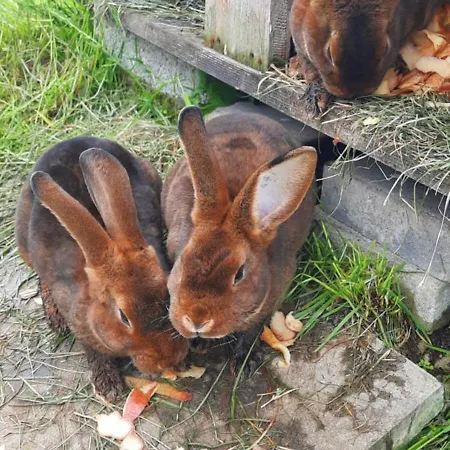 Jausenstation Neuschwand