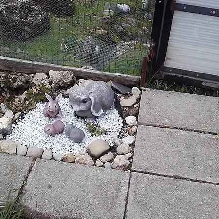 Jausenstation Neuschwand Çiftlik konaklama Hittisau