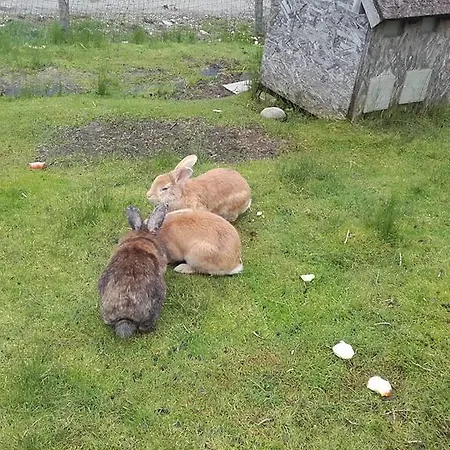 Jausenstation Neuschwand Çiftlik konaklama