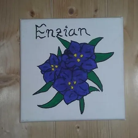 Jausenstation Neuschwand * Hittisau