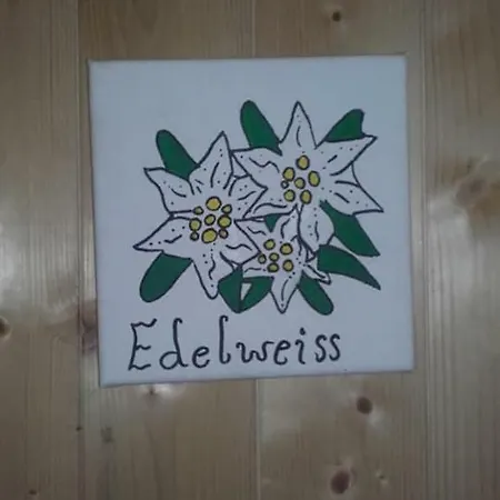 Jausenstation Neuschwand Çiftlik konaklama Hittisau