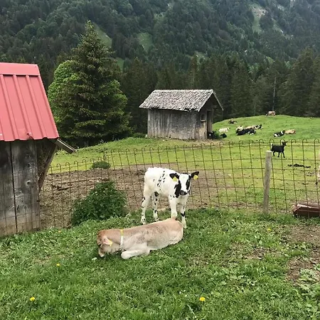 ファームステイ Jausenstation Neuschwand ヒッティザウ