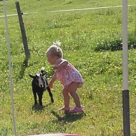 Jausenstation Neuschwand Çiftlik konaklama *