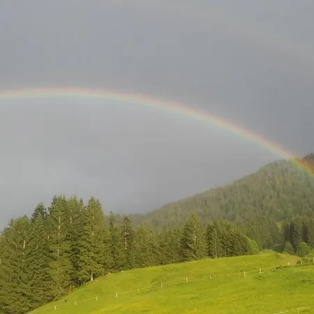 Jausenstation Neuschwand Çiftlik konaklama Hittisau