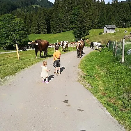 Jausenstation Neuschwand ファームステイ ヒッティザウ