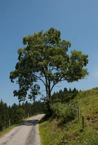 Farm stay Jausenstation Neuschwand