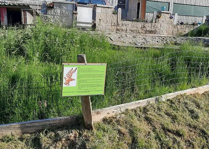 Jausenstation Neuschwand Farm stay *