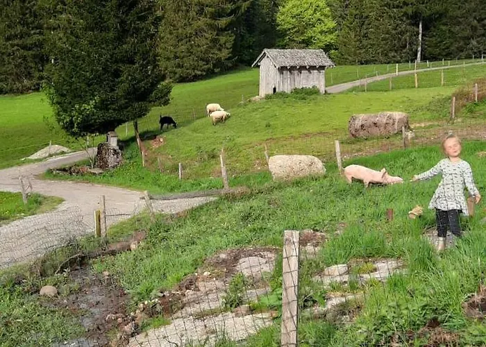 Jausenstation Neuschwand Bauernhof Hittisau