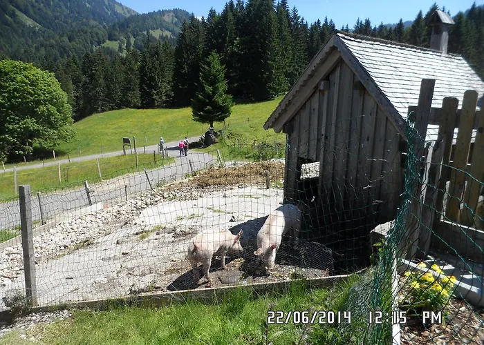 Jausenstation Neuschwand *