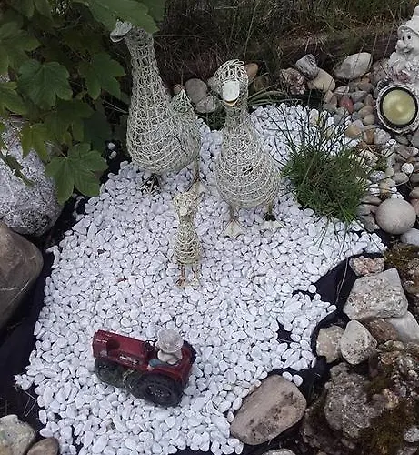 Jausenstation Neuschwand * Hittisau