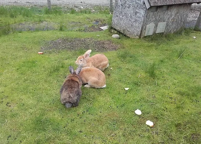 Jausenstation Neuschwand Bauernhof