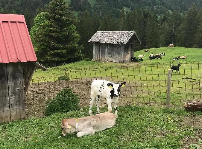 Bauernhof Jausenstation Neuschwand Hittisau