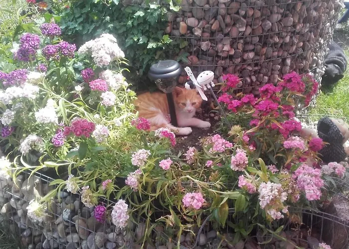 Jausenstation Neuschwand Bauernhof Hittisau