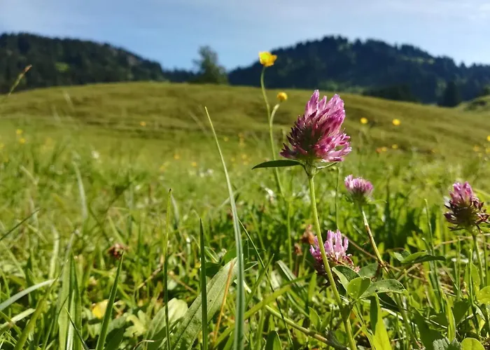 Jausenstation Neuschwand