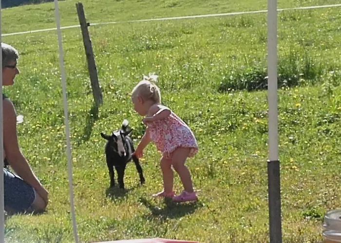 Jausenstation Neuschwand Bauernhof *