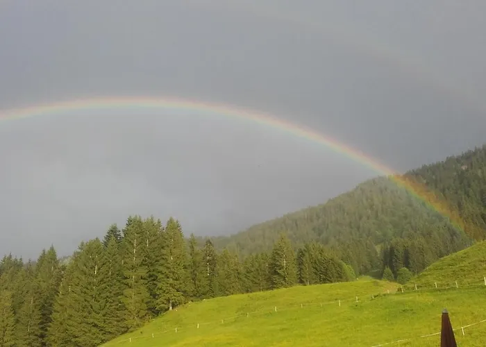 Jausenstation Neuschwand Farm stay Hittisau