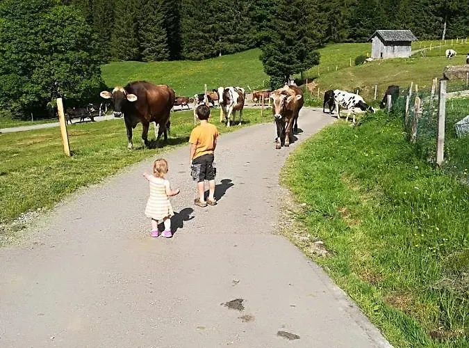 Jausenstation Neuschwand Bauernhof Hittisau